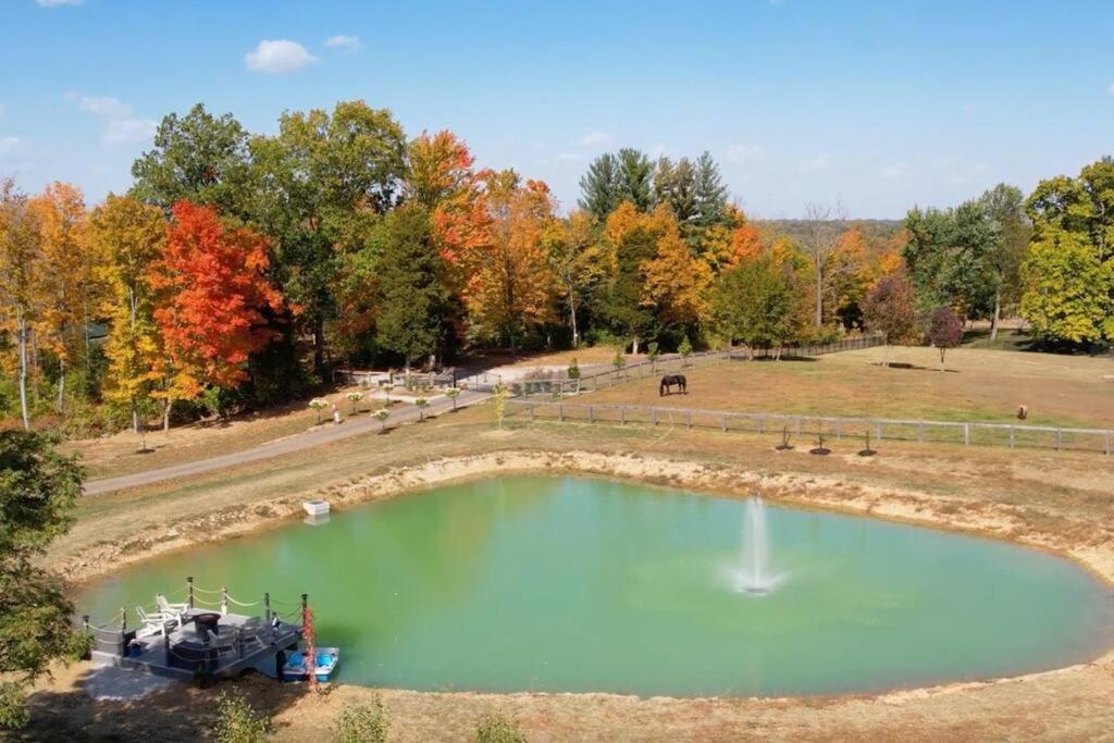 Beautiful Equestrian Estate Home W/ Hot Tub! ラブランド エクステリア 写真