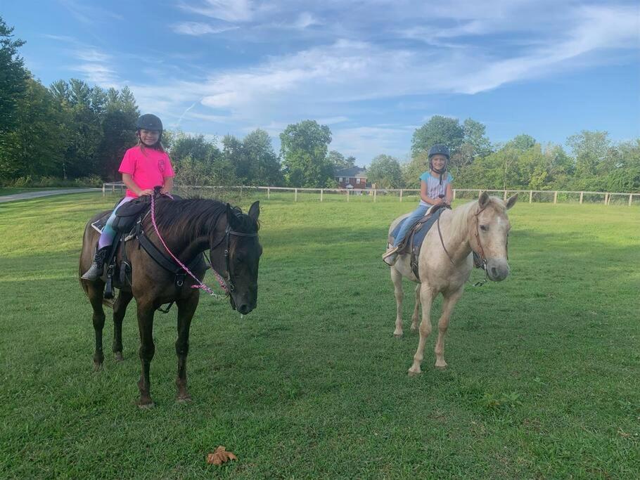 Beautiful Equestrian Estate Home W/ Hot Tub! ラブランド エクステリア 写真