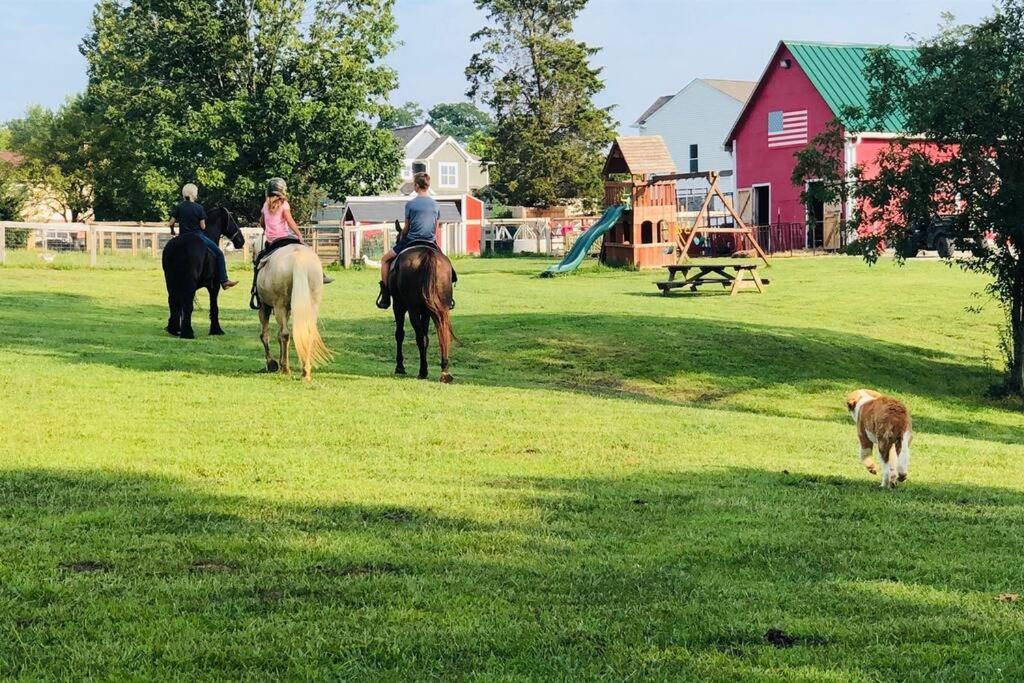 Beautiful Equestrian Estate Home W/ Hot Tub! ラブランド エクステリア 写真