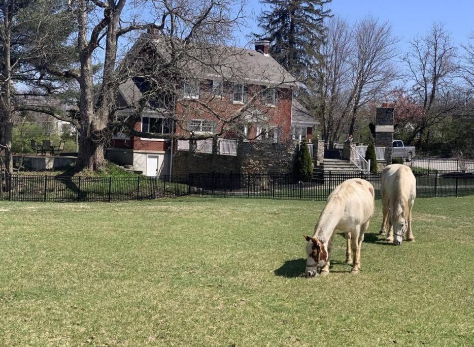 Beautiful Equestrian Estate Home W/ Hot Tub! ラブランド エクステリア 写真