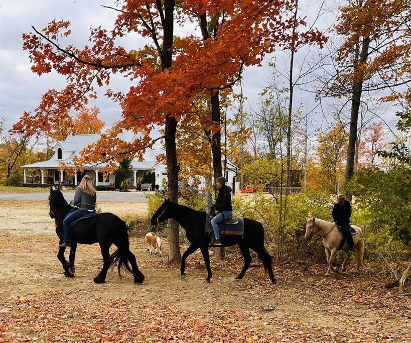 Beautiful Equestrian Estate Home W/ Hot Tub! ラブランド エクステリア 写真